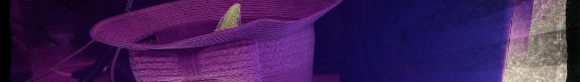 Chameleon In Da Hat