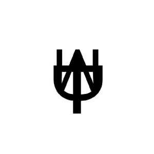 IDM