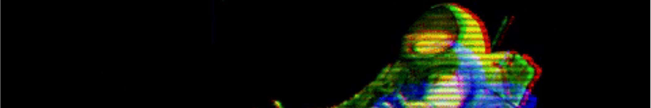 Skywaukr