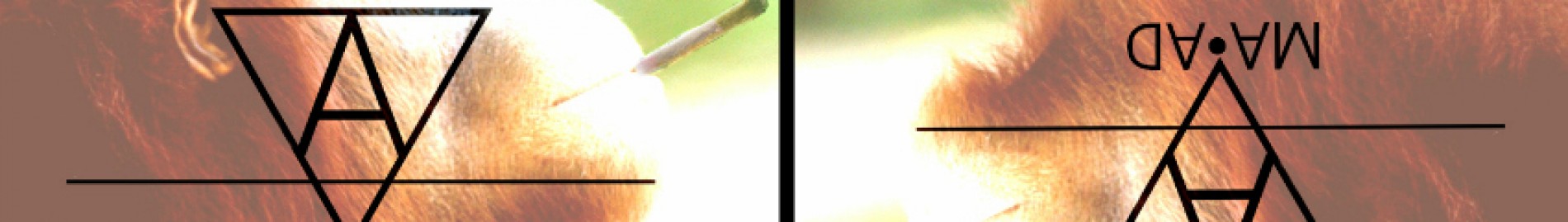 MA•AD