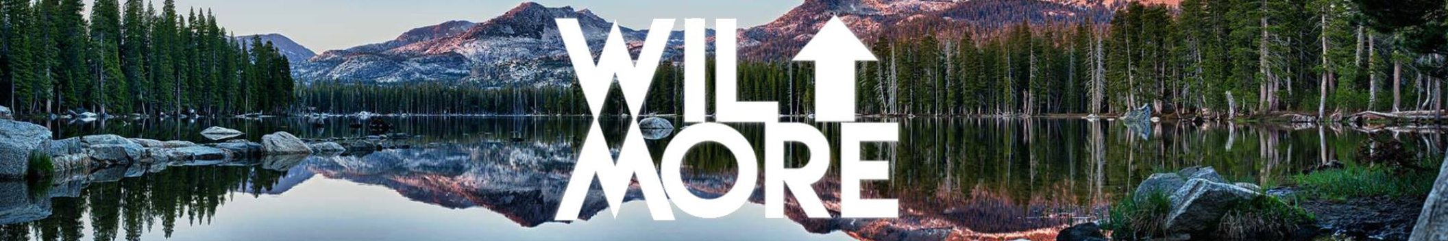 Wilmore