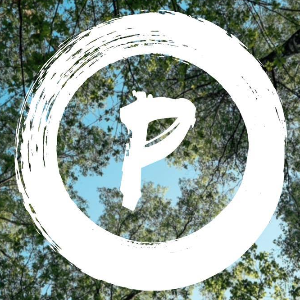 Paulanemusic