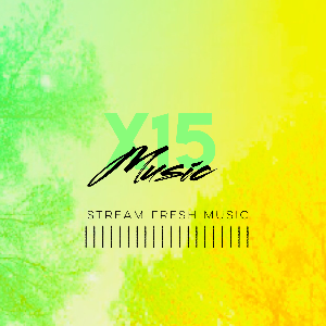 X15