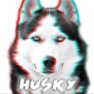 The Husky