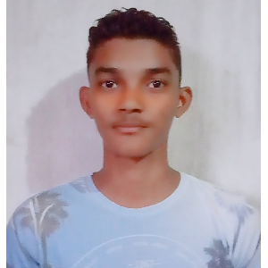 Bosywekk
