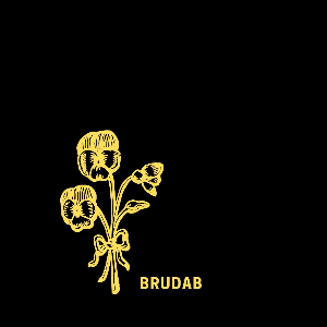 BrudaB