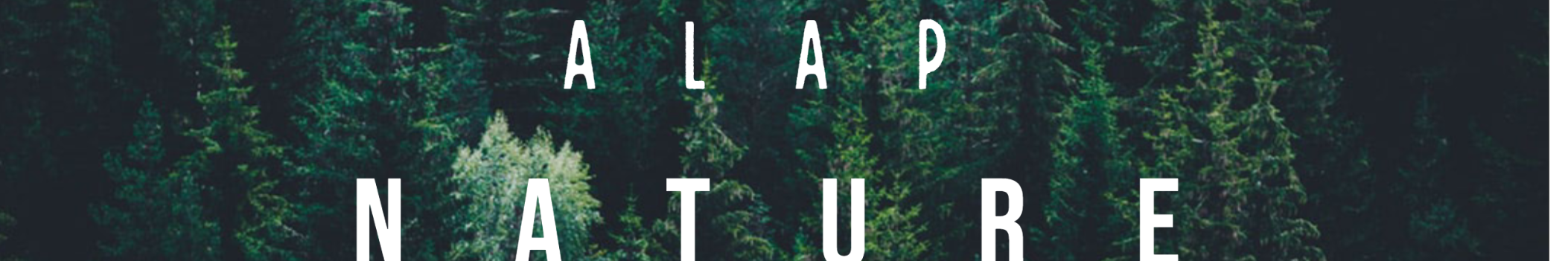 Alap Music