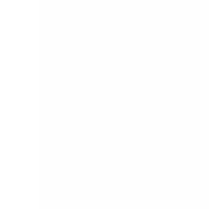 cerebeliac