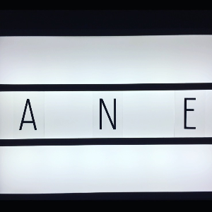 A.N.E