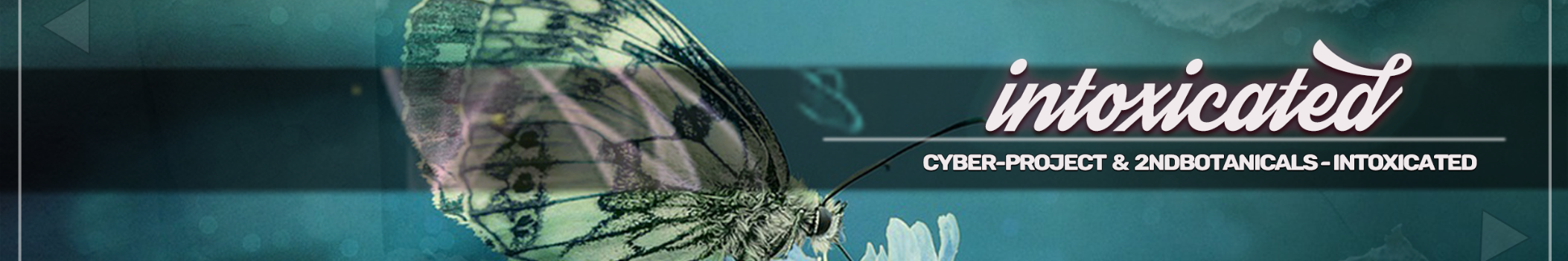 2ndbotanicals