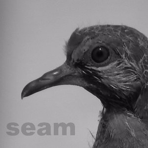 Seam