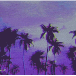 KDSM