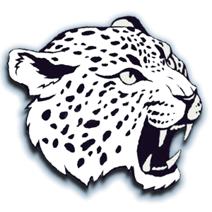 JAGUAR B3AT