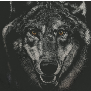 lonely Wolf