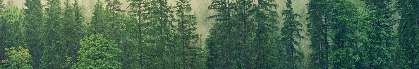 FragileNotesmusic