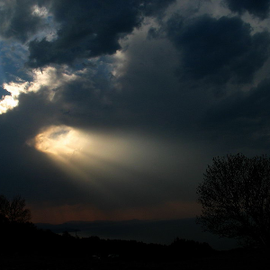 The Storm