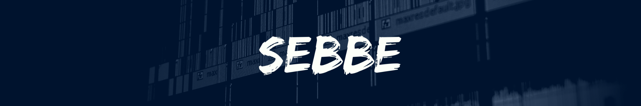 Sebbe06