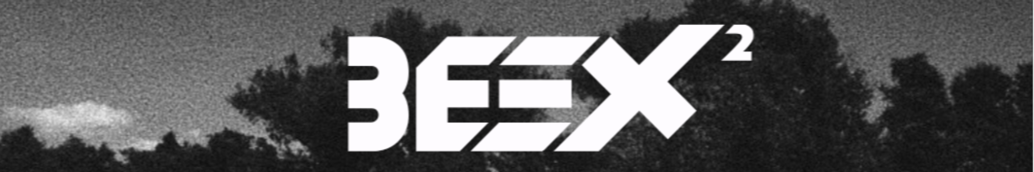 Beex2