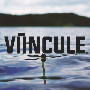 VIINCULE