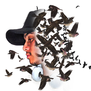 Nentraxx