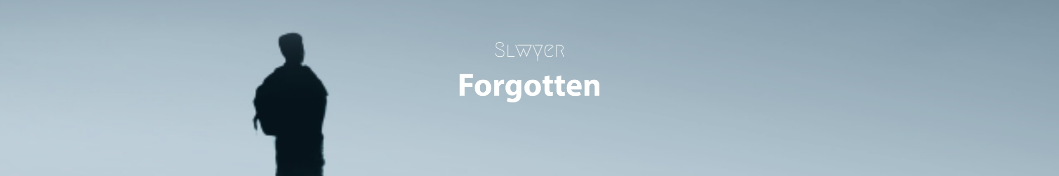 Slwyer