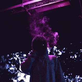 Bliko Cruz