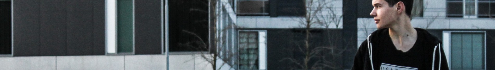 Stan van Boxtel