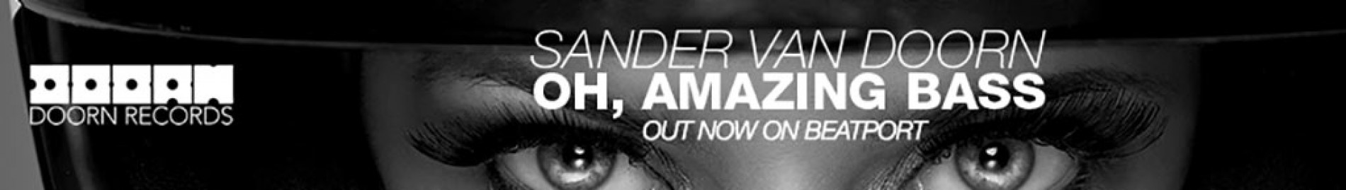 Sander van Doorn