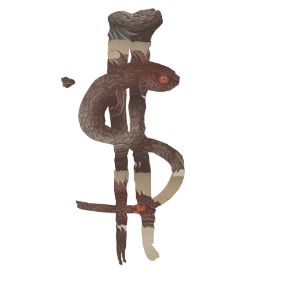 $KAPË