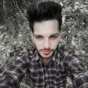 rag_hav_17
