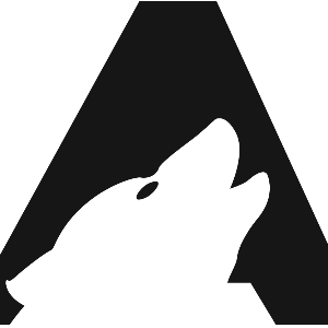 Surveyor