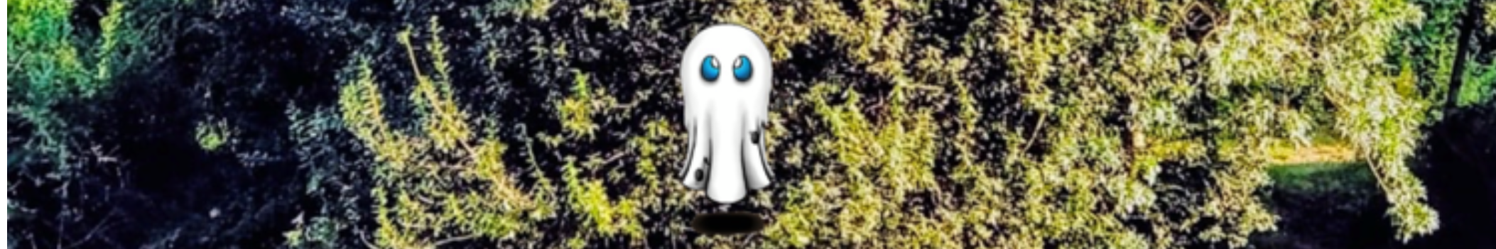 Tanis_Bens