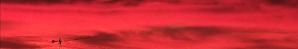 Redd_Daniel1