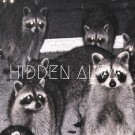 Hidden Alva