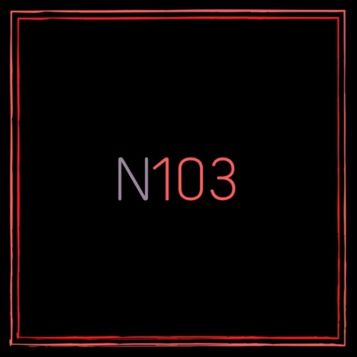 n103nse