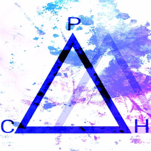 PiCHie bass