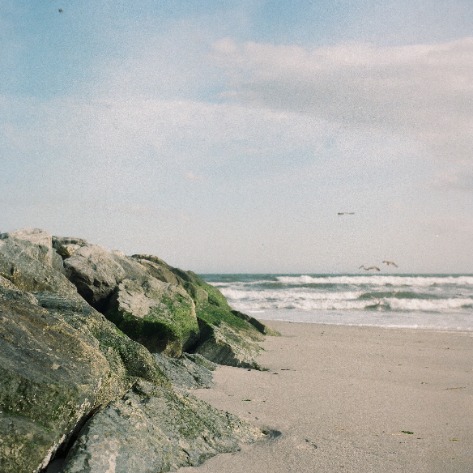 lumikastrati