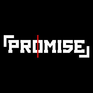 PROMI5E