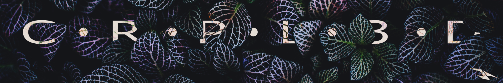 CRPL3D