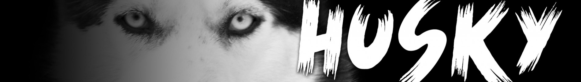 The Husky