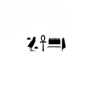 AMrrprod