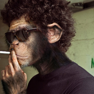 Bad Monkey