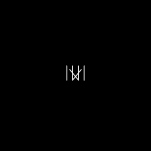 netproblem_muzic