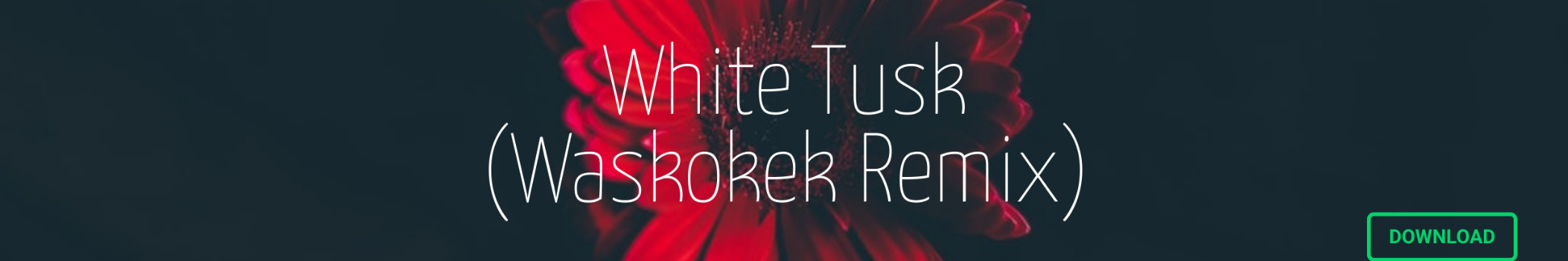 Waskokek