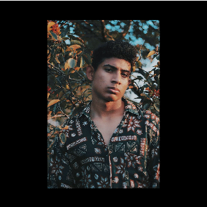 4 A L 3 N