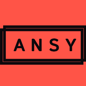 ANSY_19