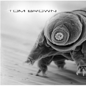 Tom Brown