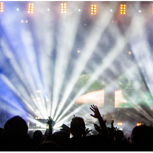 The French (edm)