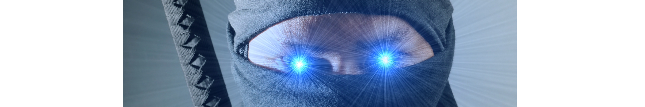 ElectroNinja
