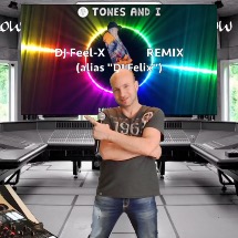 DJFEEL-X